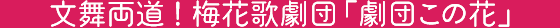 文舞両道、梅花歌劇団「劇団この花」！