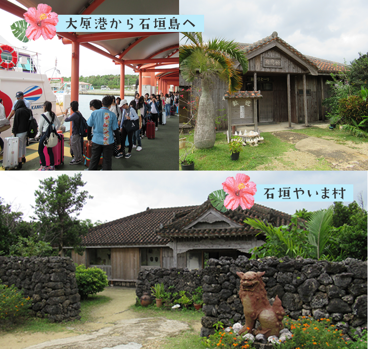 大原港から石垣島へ　石垣やいま村