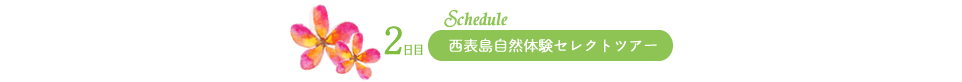 2日目