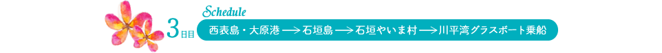3日目