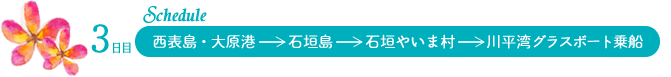 3日目