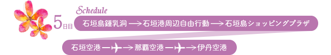 5日目