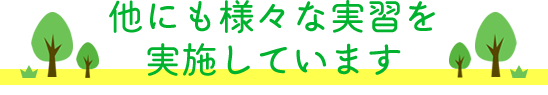 他にも様々な実習を実施しています