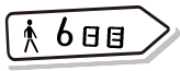 6日目