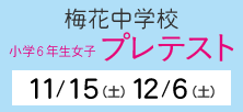 プレテスト